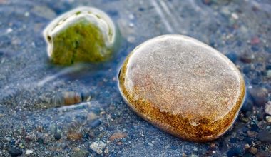 wall_180 | Блог Алексея Волкова