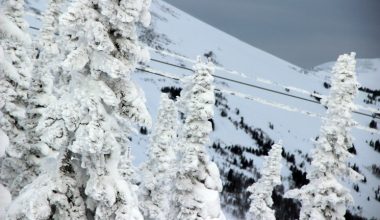 wall_932 | Блог Алексея Волкова