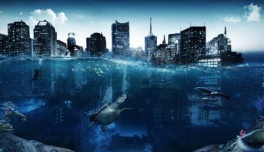 wall_112 | Блог Алексея Волкова