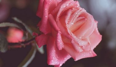 wall_215 | Блог Алексея Волкова