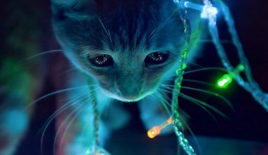 wall_721 | Блог Алексея Волкова