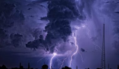 wall_69 | Блог Алексея Волкова