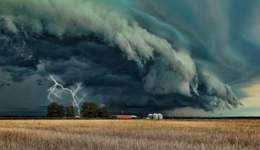 wall_62 | Блог Алексея Волкова