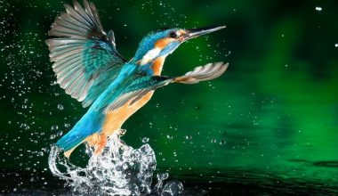 wall_8 | Блог Алексея Волкова