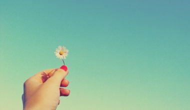 wall_893 | Блог Алексея Волкова