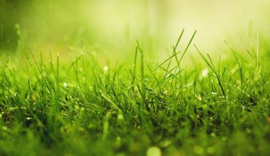 wall_828 | Блог Алексея Волкова