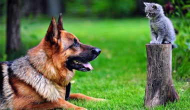 wall_689 | Блог Алексея Волкова