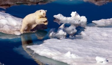 wall_706 | Блог Алексея Волкова