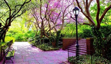 wall_762 | Блог Алексея Волкова