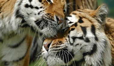 wall_345 | Блог Алексея Волкова