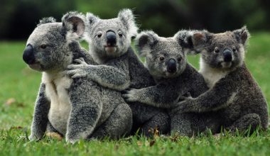 wall_383 | Блог Алексея Волкова