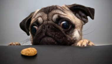 wall_172 | Блог Алексея Волкова