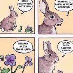 WhatsApp Image 2018-05-30 at 10.07.02 | Блог Алексея Волкова